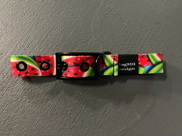 Dogtraining101 Watermelon Buckle Collar