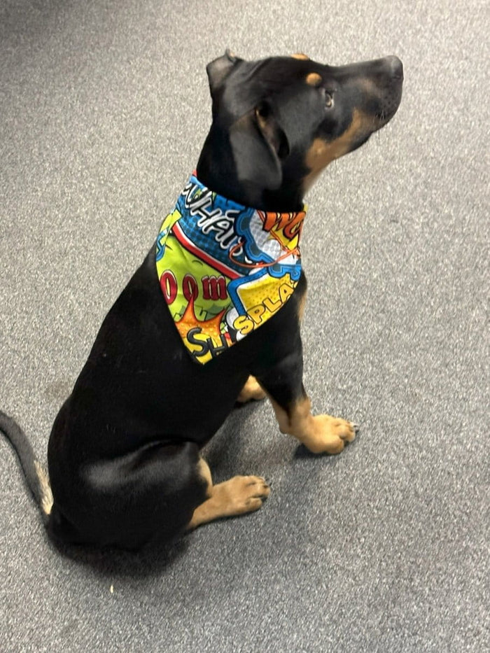 Dogtraining101 Wow comic Bandana