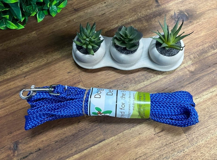 Dogtraining101 10M Flat Lead     **Discontinued**
