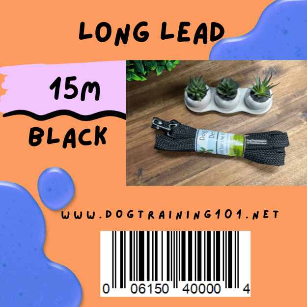 Dogtraining101 Black 15M Flat Lead    **Discontinued**