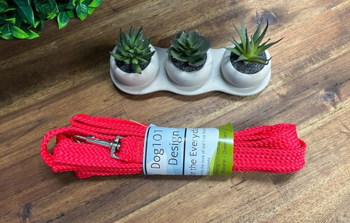 Dogtraining101 15M Flat Lead    **Discontinued**