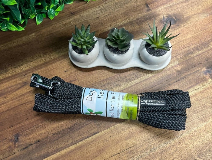 Dogtraining101 15M Flat Lead    **Discontinued**