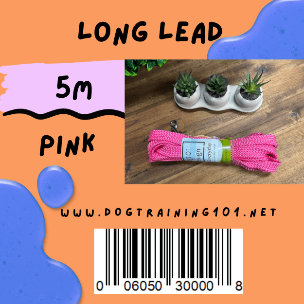 Dogtraining101 Pink 5M Flat Lead    **Discontinued**