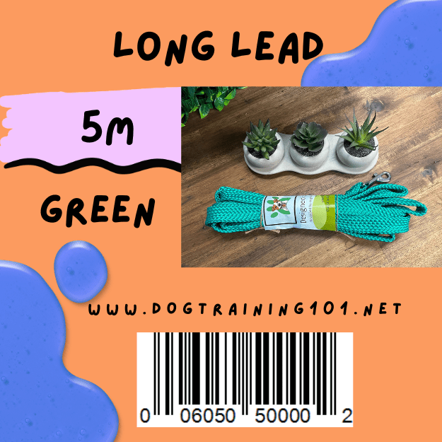 Dogtraining101 Green 5M Flat Lead    **Discontinued**