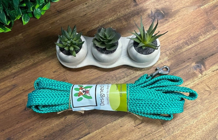 Dogtraining101 5M Flat Lead    **Discontinued**