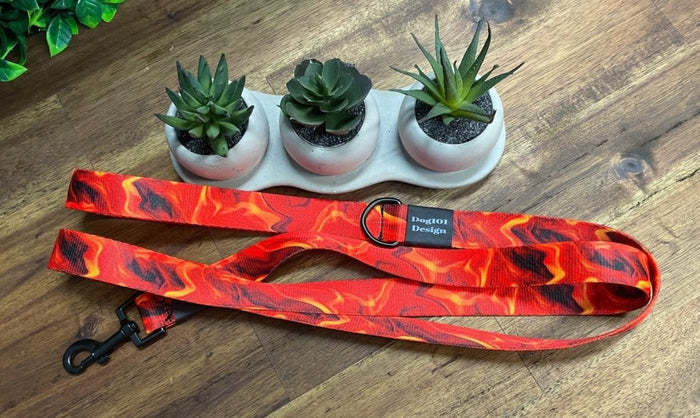 Dogtraining101 Black Adult Dog Fancy Flame 1.5m x 25mm Lead