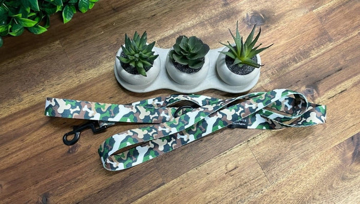 Dogtraining101 Black Adult Dog Fancy Green Brown Bone Camo 1.5m x 25mm Lead