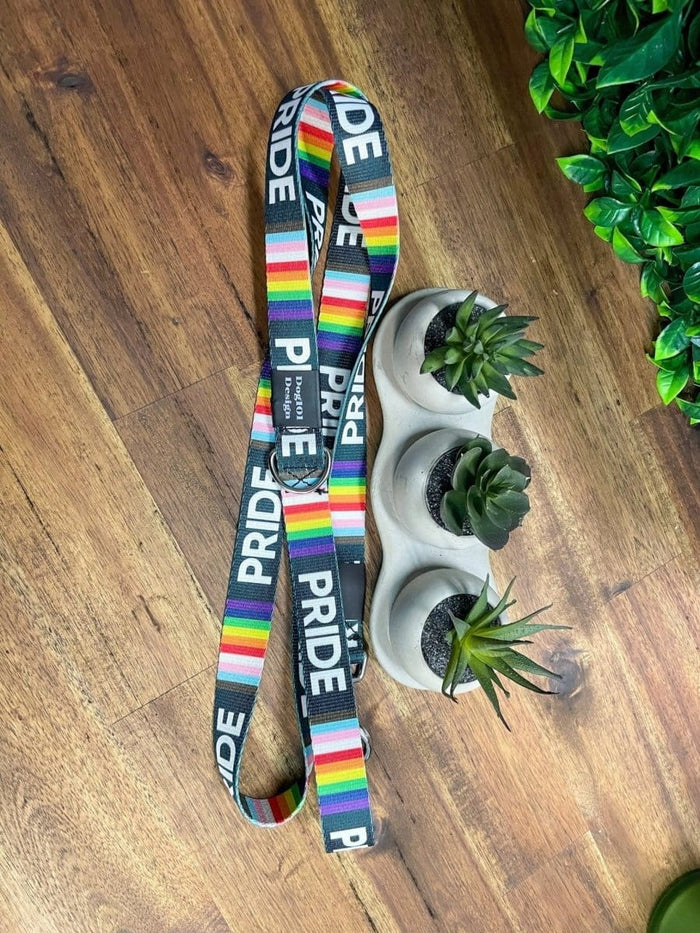 Dogtraining101 Black Adult Dog Fancy Pride 1.5m x 25mm Lead