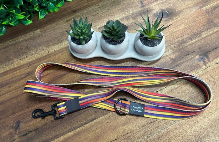 Dogtraining101 Black Adult Dog Fancy Stripe 1.5m x 25mm Lead
