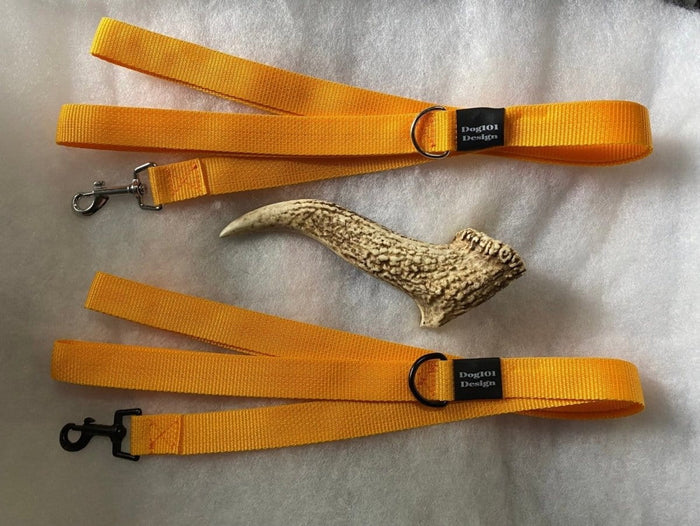 Dogtraining101 Adult Dog Plain Light Orange 1.5m x 25mm Lead