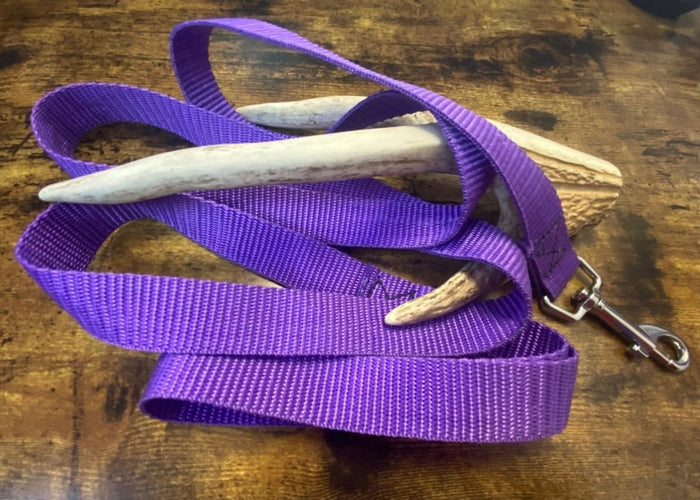Dogtraining101 Black Adult Dog Plain Purple 1.5m x 25mm Lead