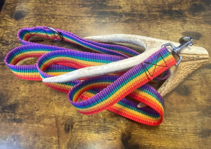 Dogtraining101 Black Adult Dog Plain Rainbow 1.5m x 25mm Lead