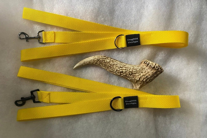 Dogtraining101 Adult Dog Plain Yellow 1.5m x 25mm Lead