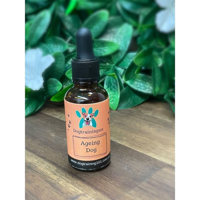 Dogtraining101 Ageing Dog Hemp Oil 5ml