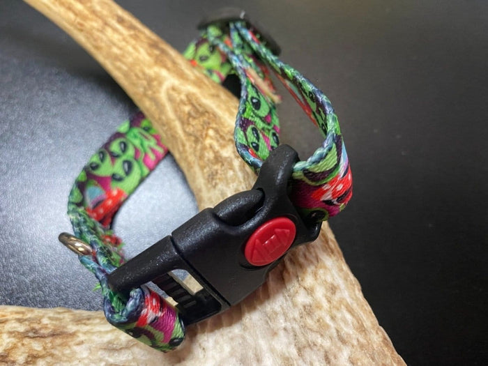 Dogtraining101 Retail Super Store Alien Webbing Collar (Small/Puppy)