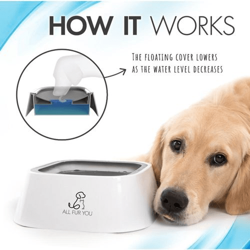 Dogtraining101 Retail Super Store All Fur You Anti Splash Bowl White - 1L