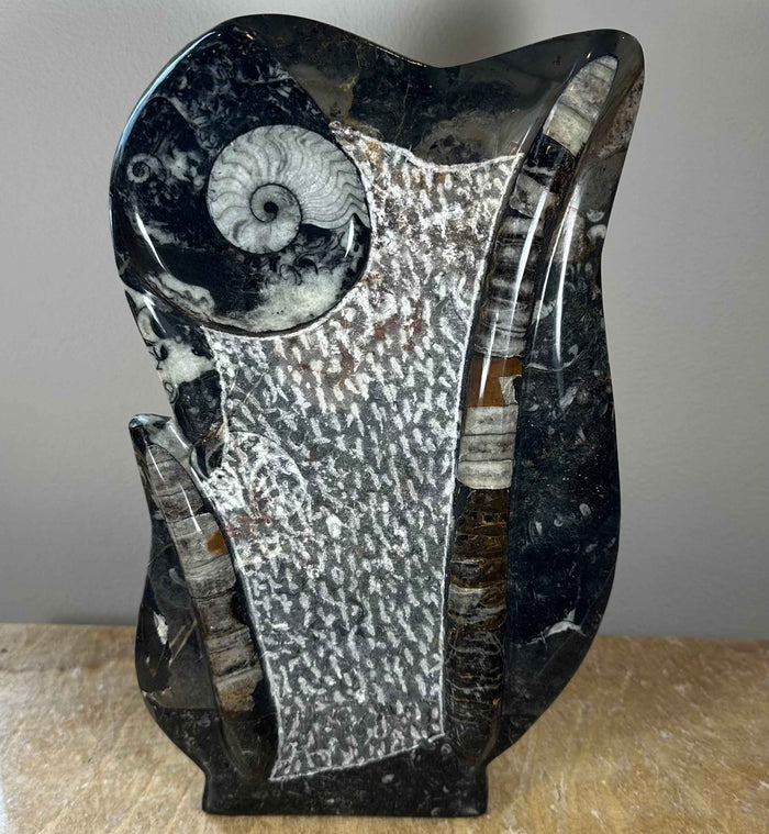 Ammonite Fossils in Matrix Sculpture - Smokin Resin Company