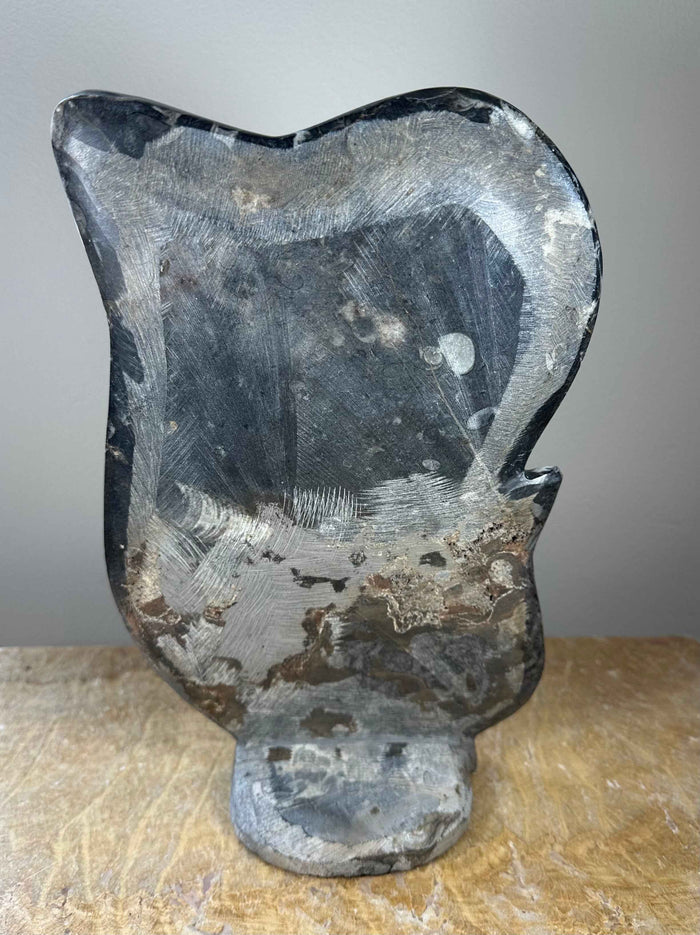 Ammonite Fossils in Matrix Sculpture - Smokin Resin Company