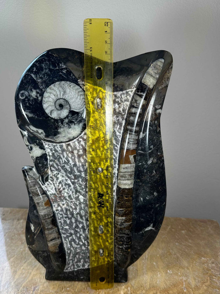 Ammonite Fossils in Matrix Sculpture - Smokin Resin Company