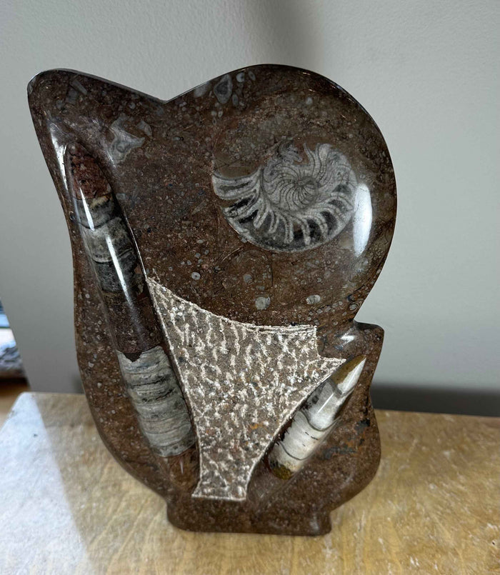 Ammonite Fossils in Matrix Sculpture - Smokin Resin Company