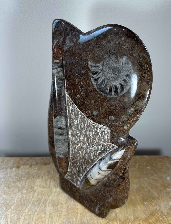 Ammonite Fossils in Matrix Sculpture - Smokin Resin Company