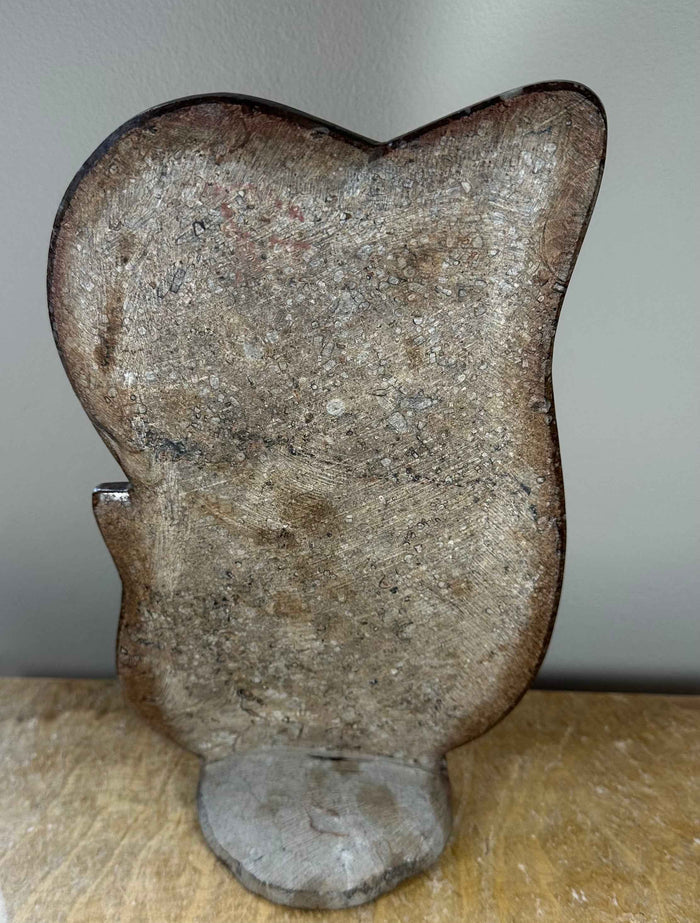 Ammonite Fossils in Matrix Sculpture - Smokin Resin Company
