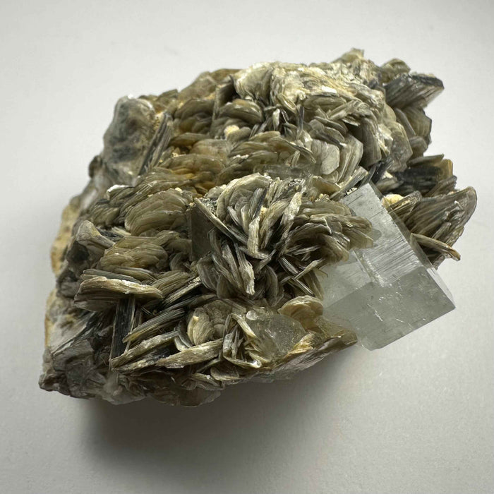 Aquamarine with Muscovite on Matrix from Shigar Valley, Skradu, Pakistan - Smokin Resin Company