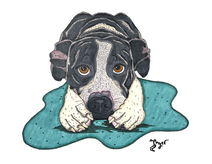 Art Print - M04 Pit Bull - Gray Laying Down - Pet Portrait