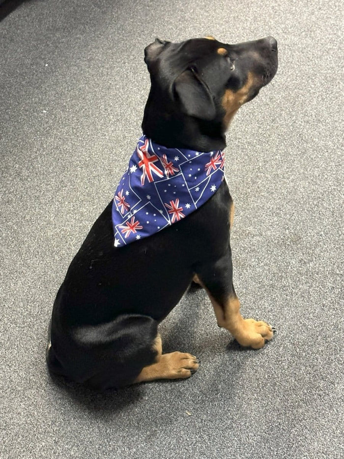 Dogtraining101 Aussie Flag Bandana
