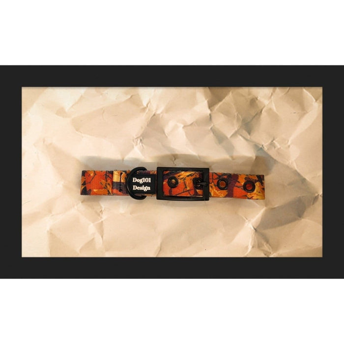 Dogtraining101 Extra Large / Black Autumn Buckle Collar