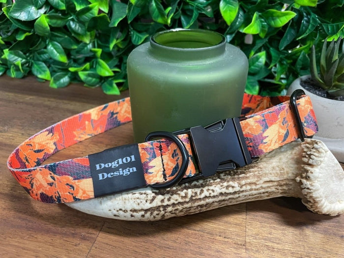 Dogtraining101 Medium / Silver Autumn Metal Clip Collar