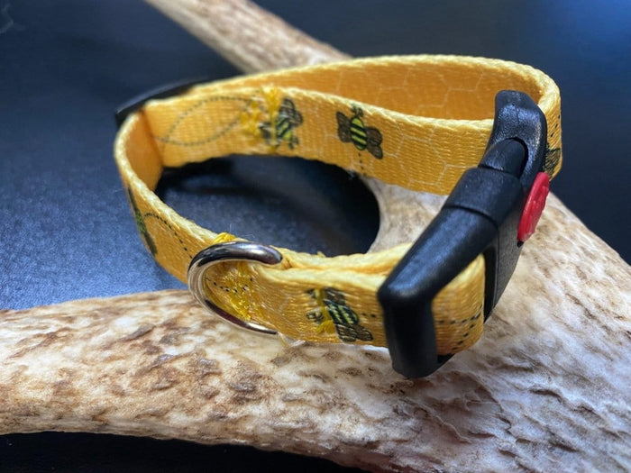 Dogtraining101 Retail Super Store Bee Webbing Collar (Small/Puppy)