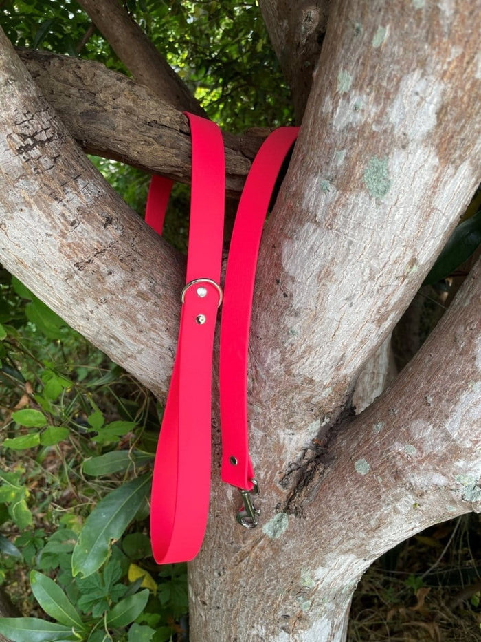 Dogtraining101 Silver Biothane Neon Pink Lead 1.5M