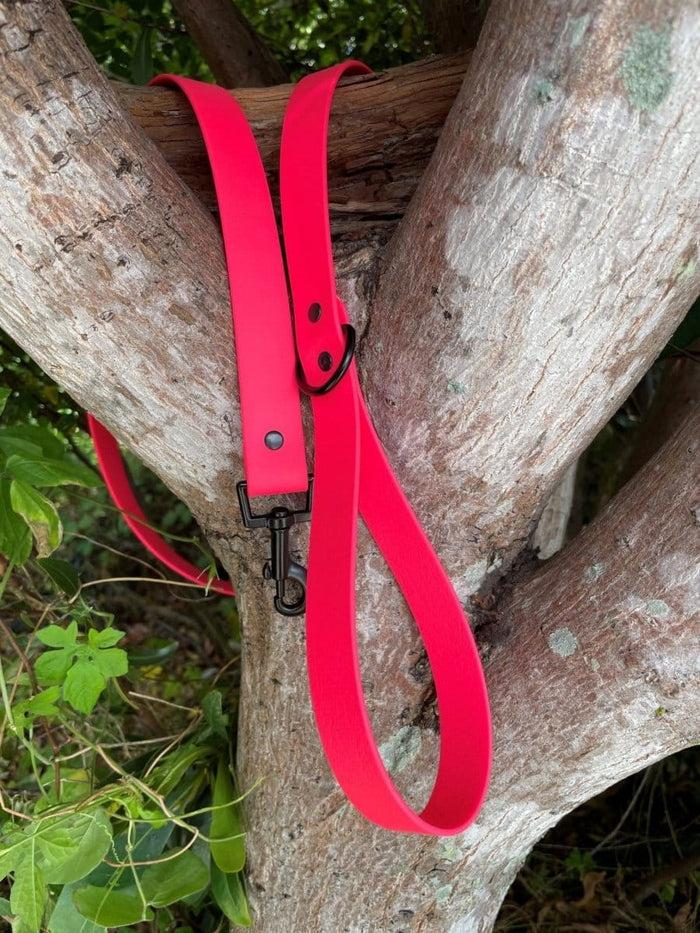 Dogtraining101 Black Biothane Neon Pink Lead 1.5M