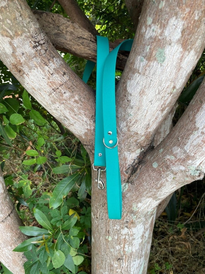Dogtraining101 Black Biothane Pastel Green Lead 1.5M