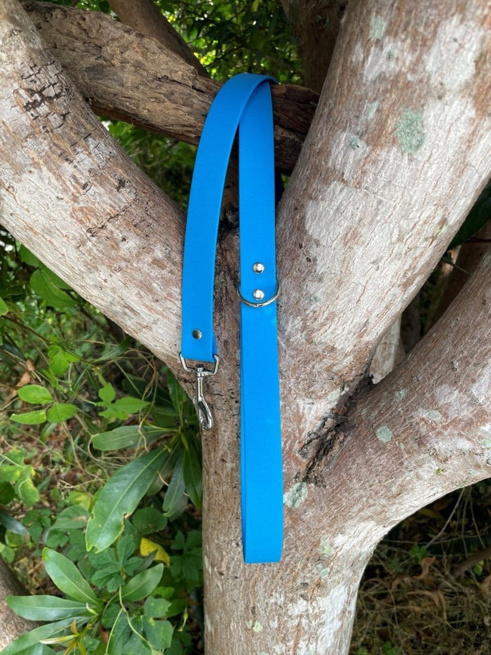 Dogtraining101 Black Biothane Sky Blue Lead 1.5M