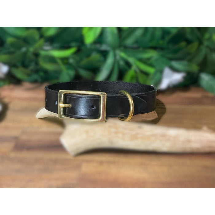 Dogtraining101 Black Leather Collar - Small Dog and Puppy