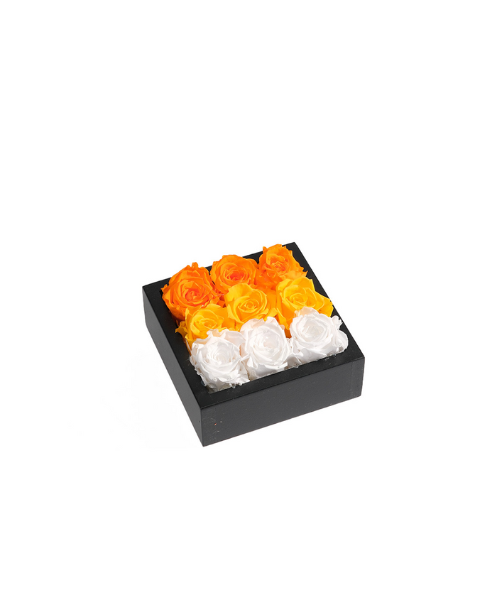 Bloombox - 9 Count