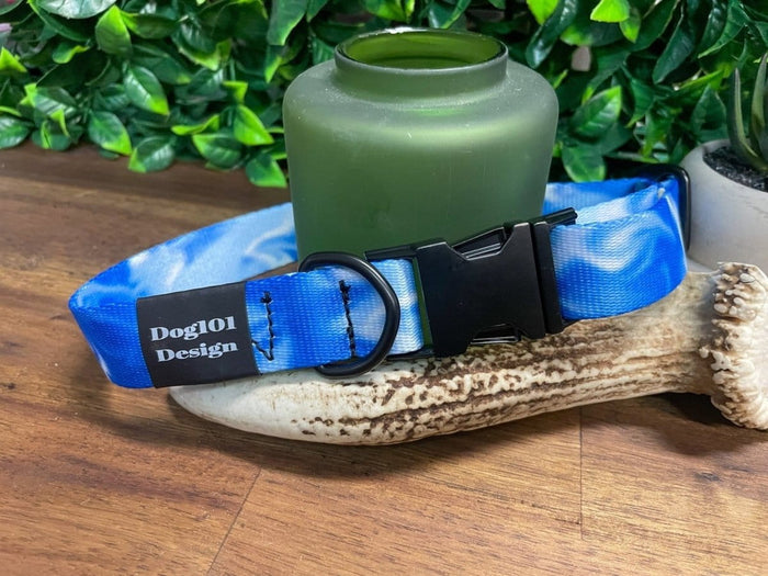 Dogtraining101 Blue Smoke Metal Clip Collar