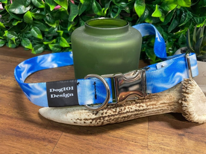 Dogtraining101 Medium / Silver Blue Smoke Metal Clip Collar