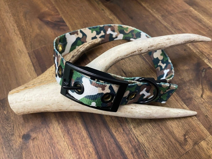 Dogtraining101 Bone Camo Buckle Collar