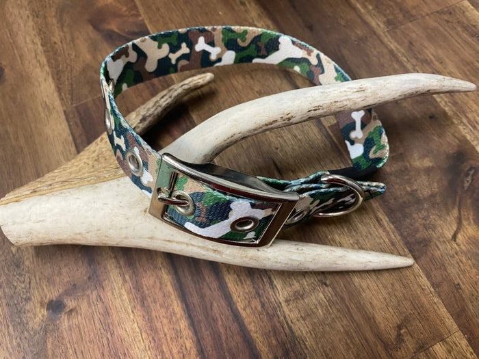 Dogtraining101 Bone Camo Buckle Collar