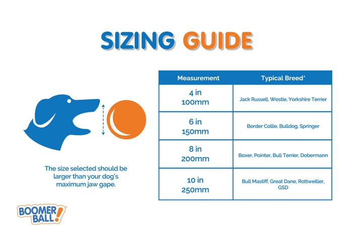 Dogtraining101 Retail Super Store Boomer Ball 10"