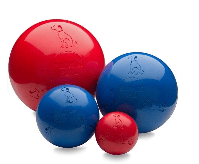 Dogtraining101 Retail Super Store Boomer Ball 4"