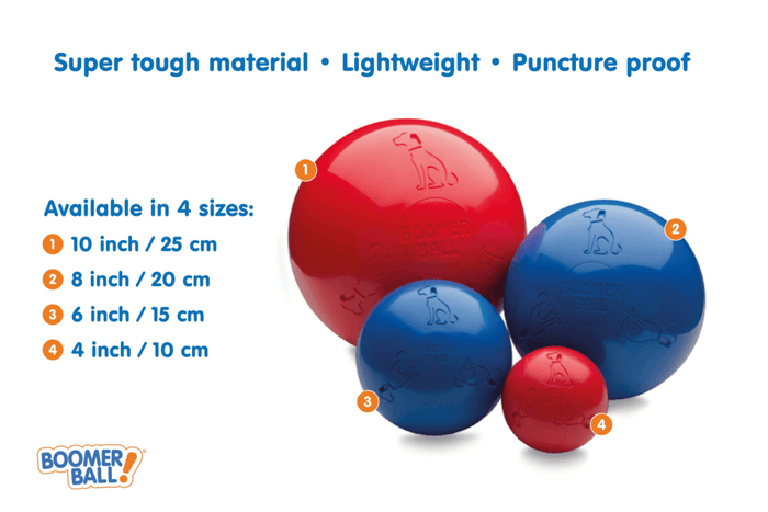 Dogtraining101 Retail Super Store Boomer Ball 4"