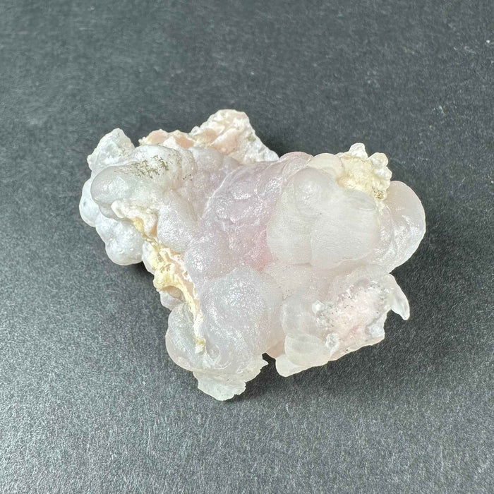 #9 1.5" - 22g