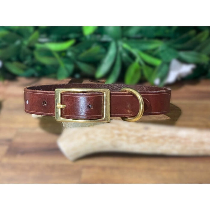 Dogtraining101 Extra Large Brandy Tan Natural Leather Collar