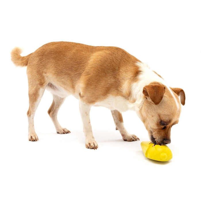 Pet Safe Busy Buddy Frosty Cone