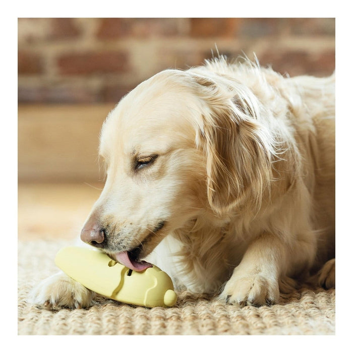 Pet Safe Busy Buddy Frosty Cone
