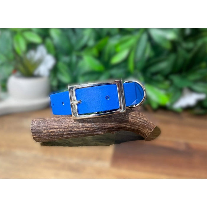 Dogtraining101 Medium / Black Candy Blue Biothane Collar